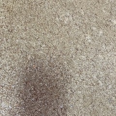 カチオンシーラーありませんか??🙇‍♂️