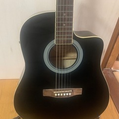 playtech アコースティックギター
の画像