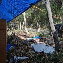 【値下げ中！早期取り引き者優先】 [土地]伊東市赤沢　管理別荘地の土地＆ボロ小屋 − 静岡県