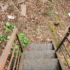 【値下げ中！早期取り引き者優先】 [土地]伊東市赤沢　管理別荘地の土地＆ボロ小屋 - 不動産