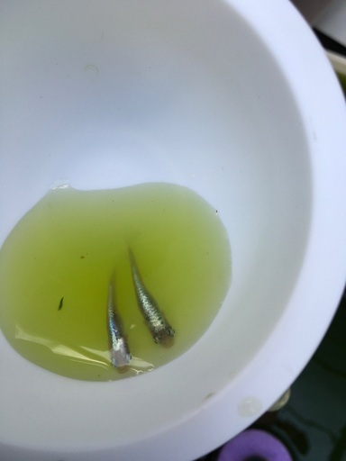 参考画像です。