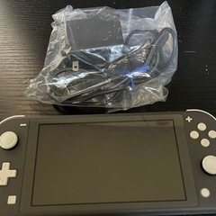 Nintendo Switch lite本体！ソフト付き！ゼルダの伝説