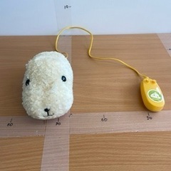 0614-265 歩くカピバラさん
