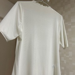 シアー Tシャツ 