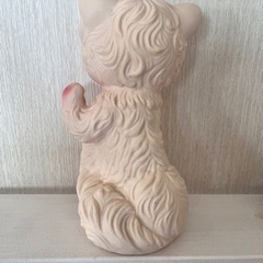【レア❣️お値下】ラバードール ホワイトキャッツ
の画像