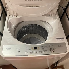 家電 生活家電 洗濯機の画像