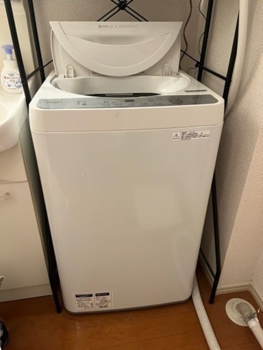 家電 生活家電 洗濯機