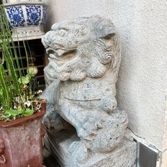 置物　獅子の画像