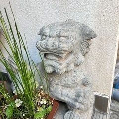 置物　獅子の画像