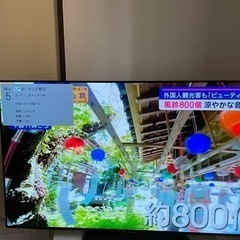 家電 テレビ 液晶テレビ