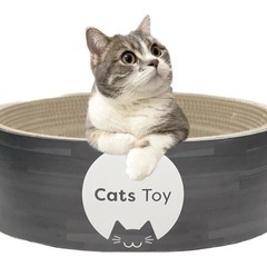 【新品未使用】① 【Cats toy】 キャッツトイボウル 猫 ...