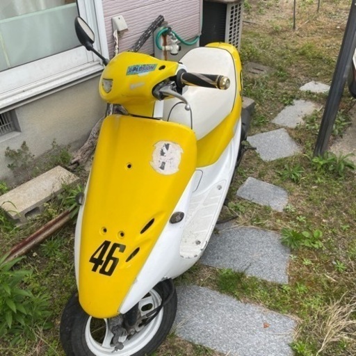 スポーツ マリンスポーツ