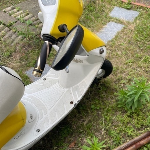 スポーツ マリンスポーツ