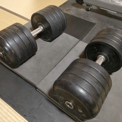 BODY MAKER製ダンベル50㎏セット（100㎏）オンザニー可！