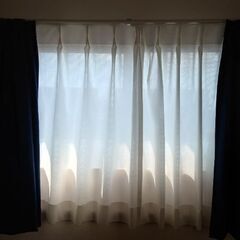 びっくりカーテン　レースカーテン(幅75cm✕丈98cm)2枚の画像