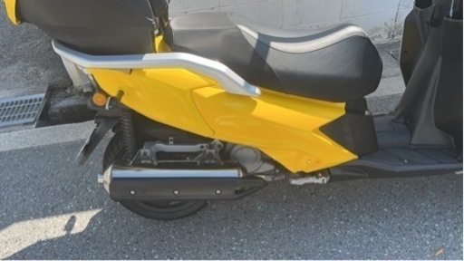 AIDVA イタリア産