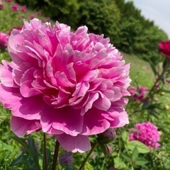 とかち🌟写真仲間募集します📸 − 北海道