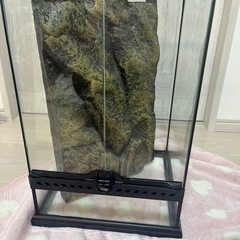 グラテラ3045の画像