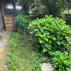 No.0115【三重県伊賀市】0円物件　庭付き一軒家 - 不動産売買（マンション/一戸建て）