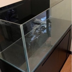 オールガラス120センチ水槽+水槽台譲り先決定しましたの画像