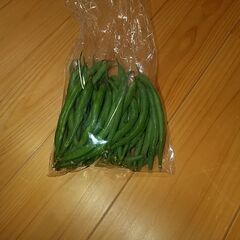 無農薬いんげん。１００ｇ100円。