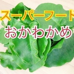 ✨スーパーフード✨無農薬 おかわかめ✨ 