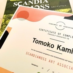 生きてるのにメンテナンスフリーのスカンディアモスの画像