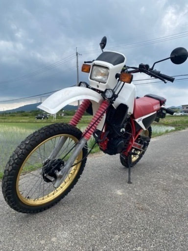 マウンテンバイク xt250t