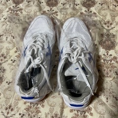 新品未使用　教育シューズ ＰＫ-Ｘ３  23.5の画像