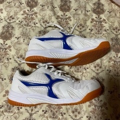 新品未使用　教育シューズ ＰＫ-Ｘ３  23.5の画像