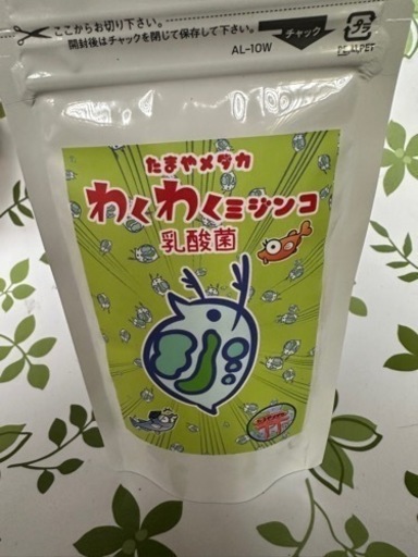 メダカ、たまやメダカ商品、水草などの植物
