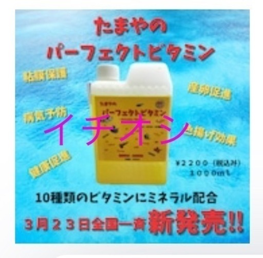 メダカ、たまやメダカ商品、水草などの植物