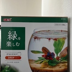 水槽の画像
