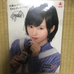 NMB48山本彩クリアファイル