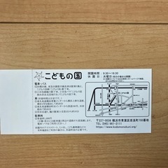こどもの国チケット大人、こども分は無料
