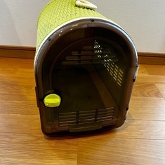 子猫を迎える方に無料で差し上げますの画像
