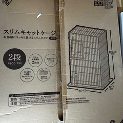 子猫を迎える方に無料で差し上げますの画像