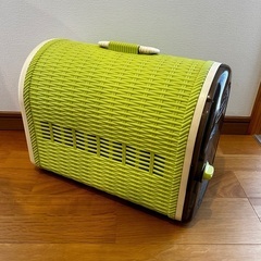 子猫を迎える方に無料で差し上げますの画像