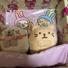 ライブ配信のお手伝いさん