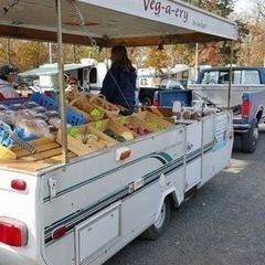 トレーラーで移動販売車やりませんか