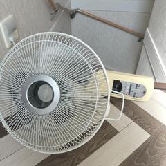 家電 季節、空調家電 扇風機