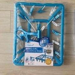 【新品未使用】ピンチハンガー 2つセットの画像