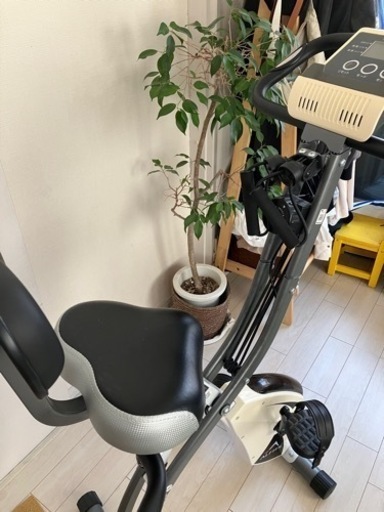 スポーツ フィットネス、トレーニング