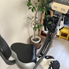 スポーツ フィットネス、トレーニング