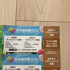 6/15 本日限定 浜名湖花博　2024 大人　2枚　フラワーパ...
