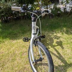 【日程調整中】5歳〜小2位 子供用自転車　18インチ　レベナ　ブリジストンの画像