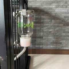 ペット用給水器【ゲージ取付型　小型犬用】の画像
