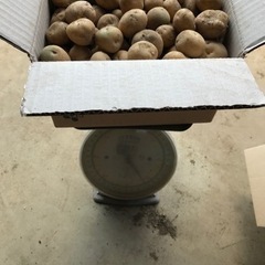 新じゃが3kg　男爵　規格外3kgの画像