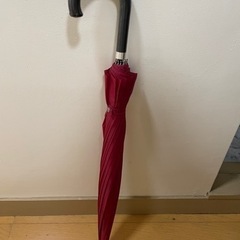 雨傘(16本傘 レディース)