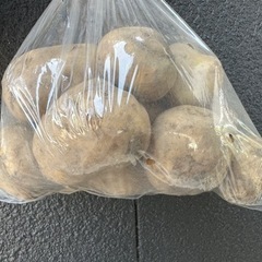 無農薬じゃがいも　男爵、メークイン　1キロの画像